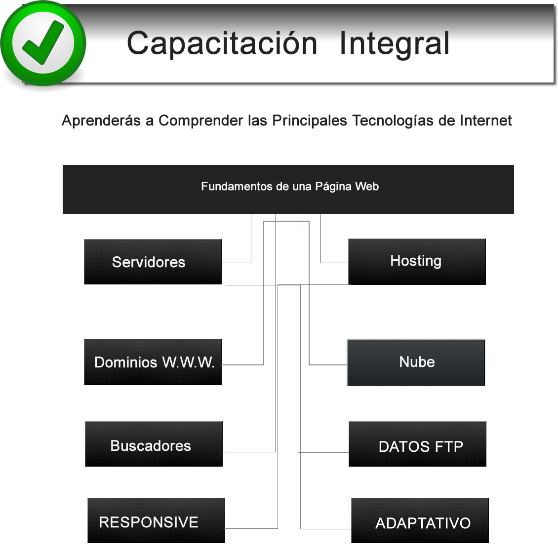 CARRERA MASTER WEB DESIGN 